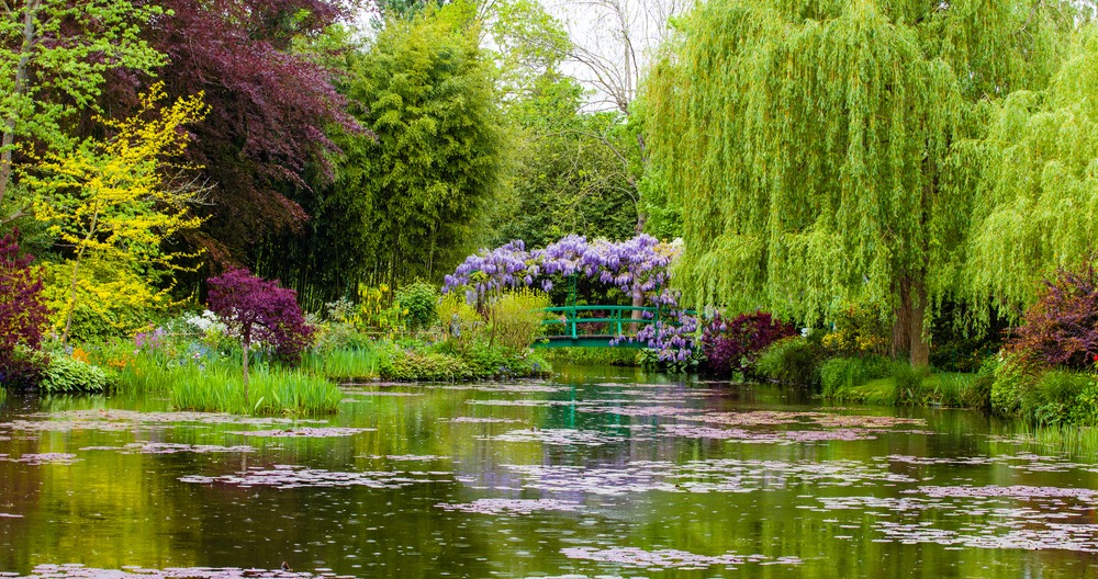 Canteiro de Íris no Jardim de Giverny