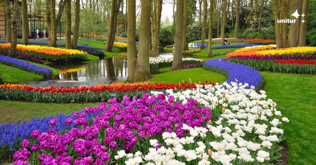 Keukenhof 