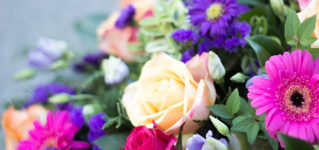 Lista de 20 Flores Mais Populares e Seus Significados