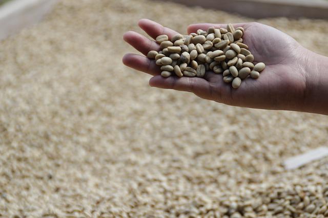 Café Civeta