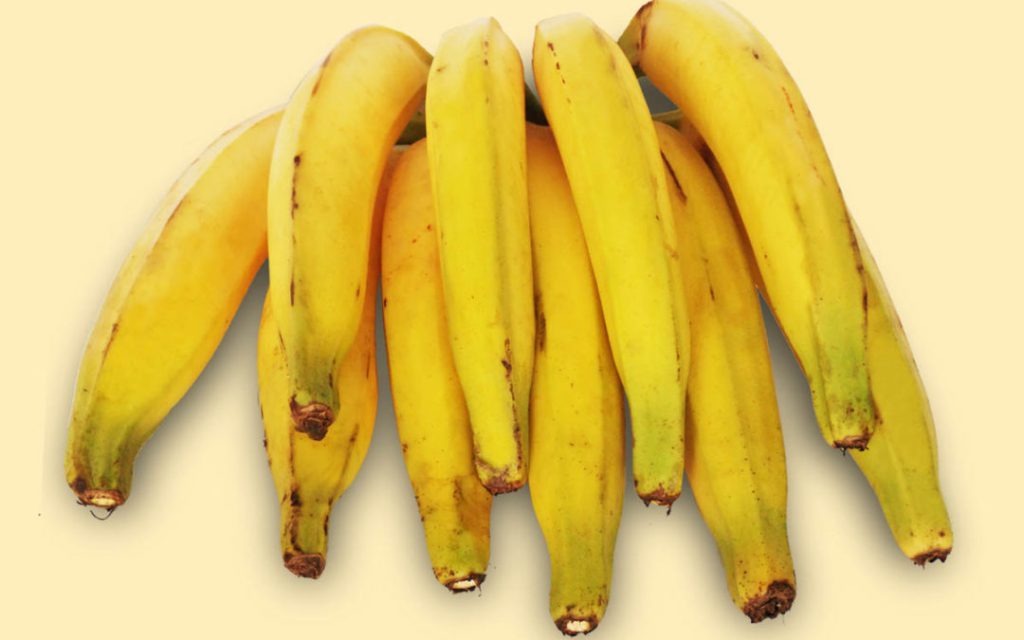 Banana da Terra 