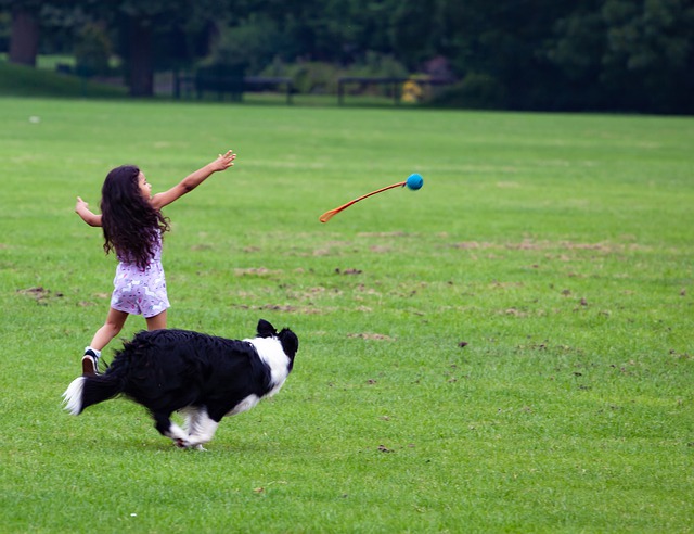 Criança Brincando com Cachorro 