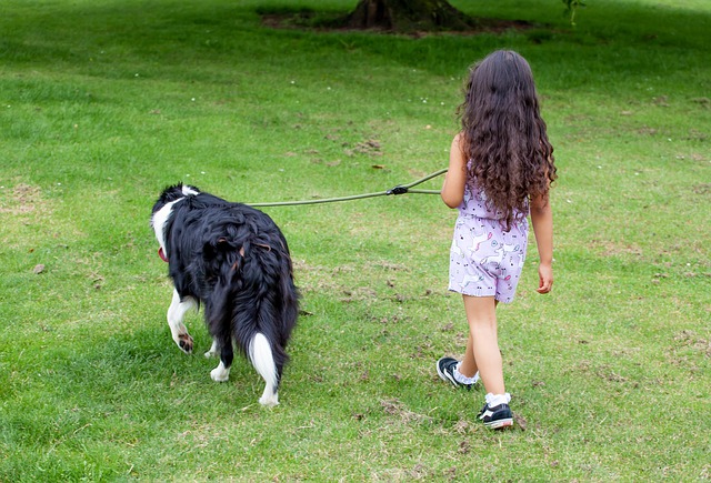 Criança Passeando com Cachorro 