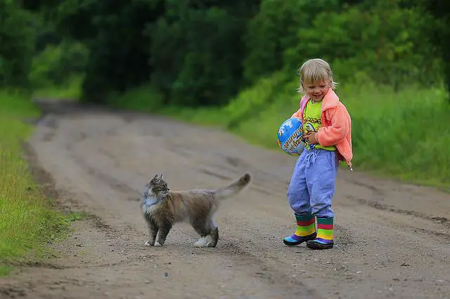 Criança com Gato 