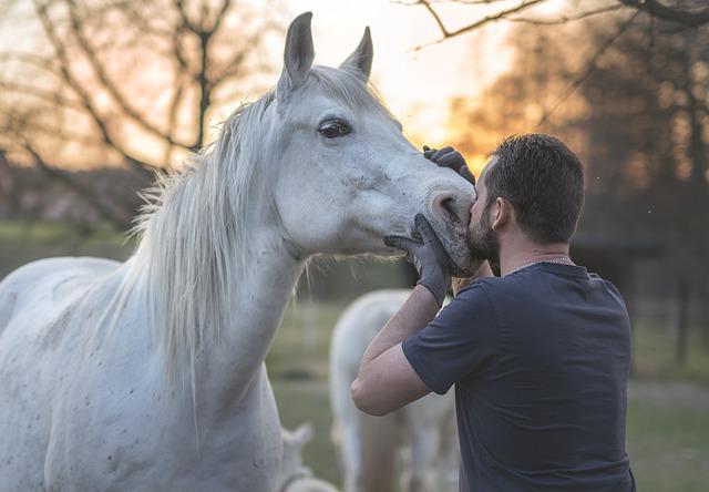 Homem e Cavalo 