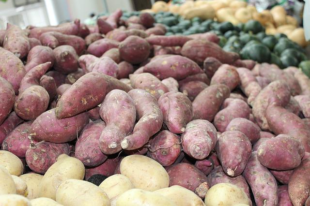 Batata Doce
