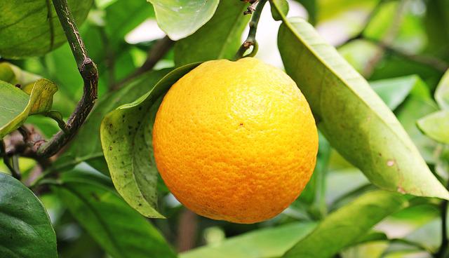 Laranja