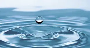 Quais São as Três Características Básicas da Água?