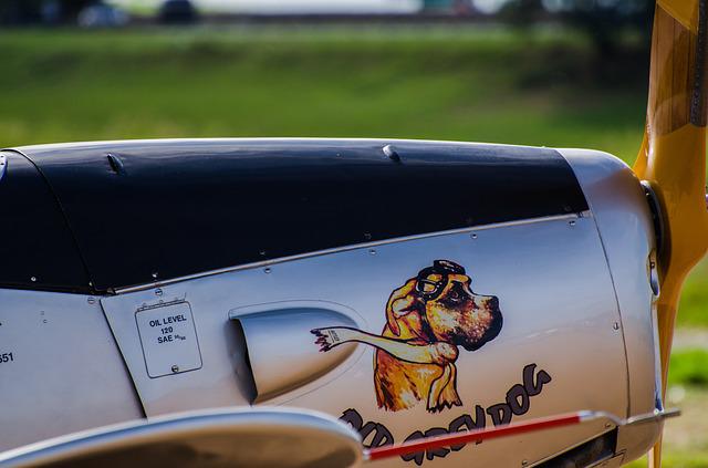 Cachorro Desenhado no Avião