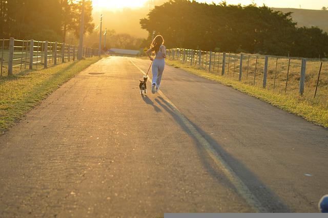 Correndo com Cachorro