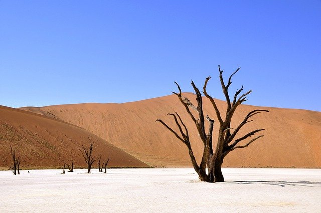 Deserto 