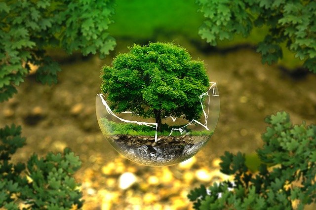 Ecologia