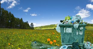 Qual é o Lixo que Demora Mais Tempo para se Decompor?