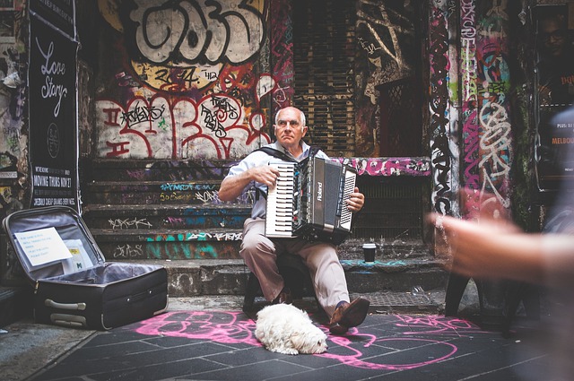 Cachorro ao Lado do Dono Tocando Sanfona