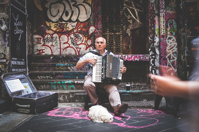 Cachorro ao Lado do Dono Tocando Sanfona 