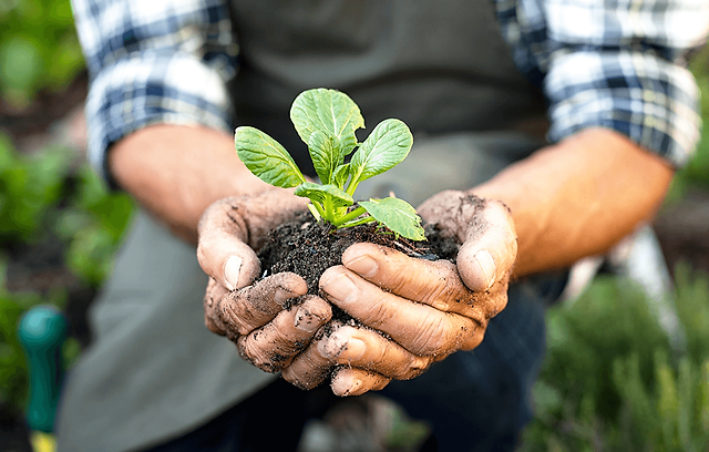 agroecologia