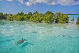 O Potencial do Turismo Sustentável