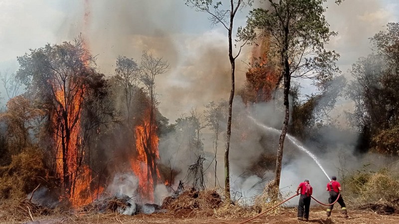 Incêndios Florestais