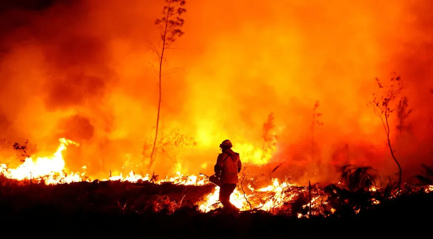 Incêndios florestais