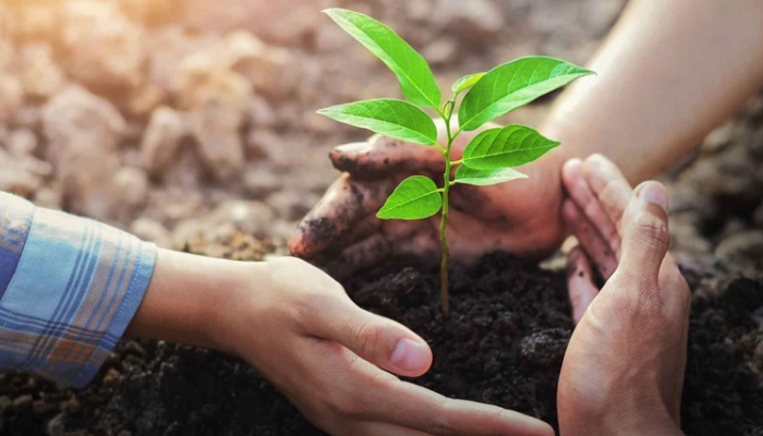 Restauração Ecológica