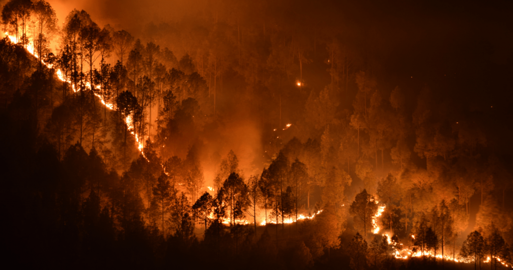 Incêndios Florestais