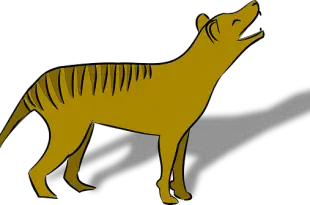 Ilustração do Lobo da Tasmânia