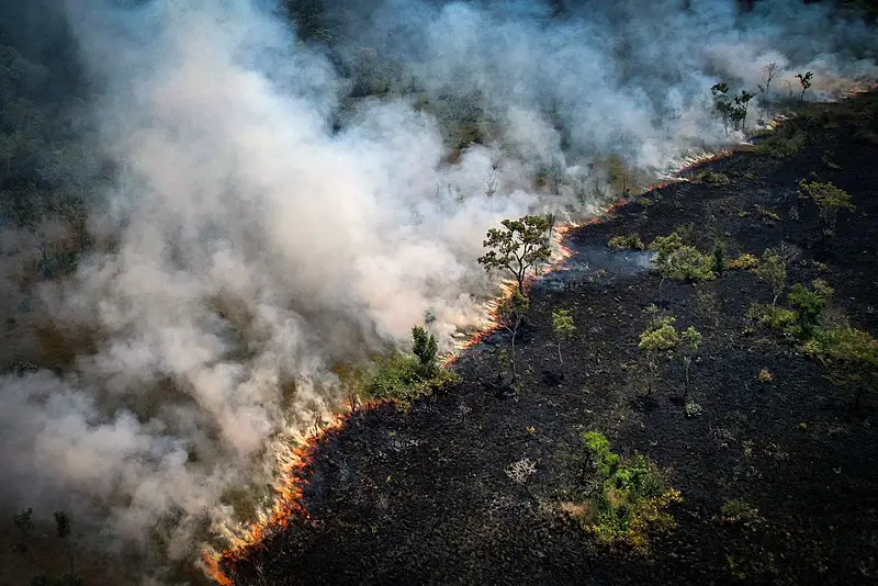 Incêndio na Amazônia 