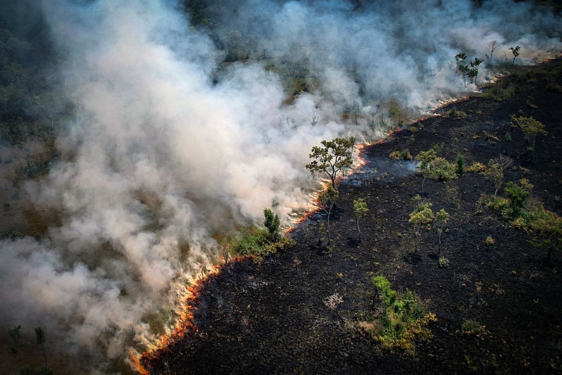 Incêndio na Amazônia