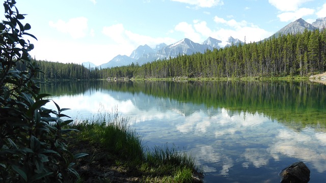 Lago Bioma Aquático