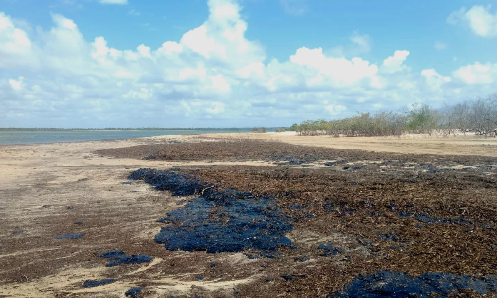 Manchas de Óleo no Litoral de Sergipe