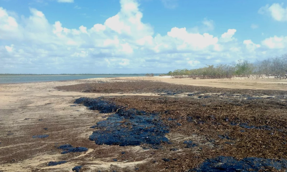 Manchas de Óleo no Litoral de Sergipe 