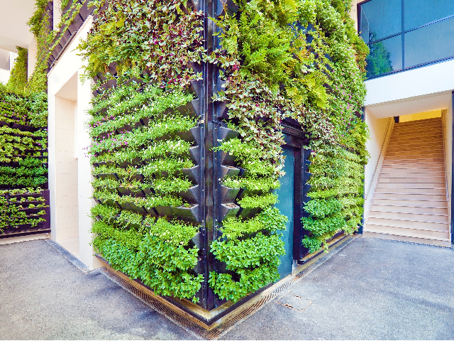 Jardim Vertical