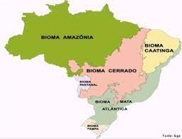 Biomas do Brasil 