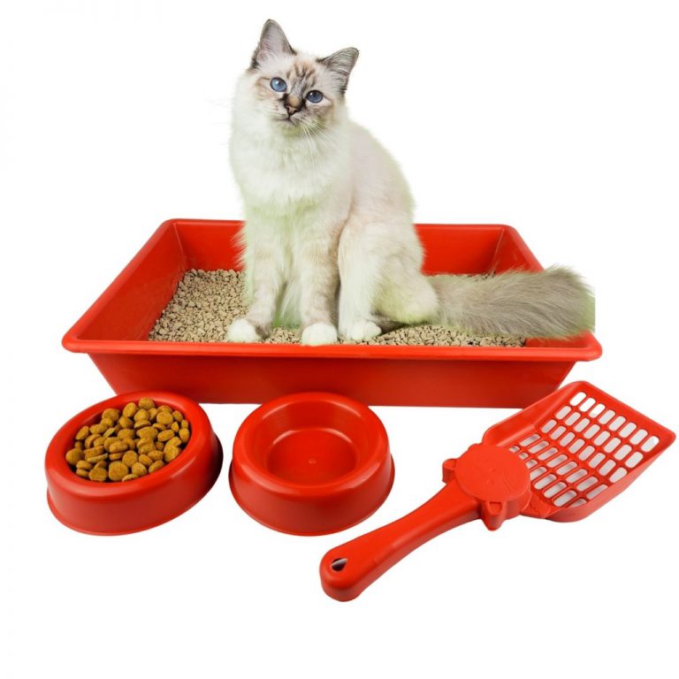 Caixa de Areia para Gato