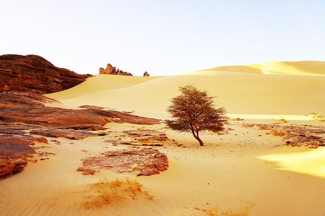 Deserto do Saara