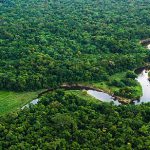 Floresta Amazônica