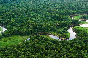 Floresta Amazônica