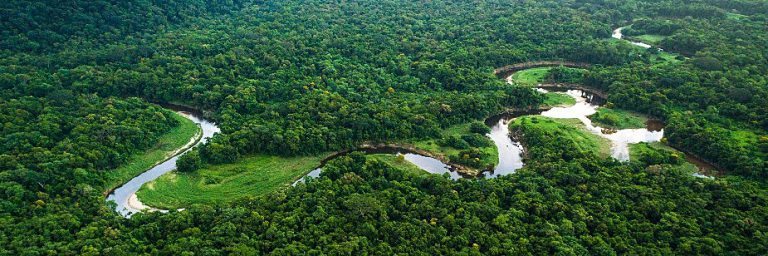 Floresta Amazônica