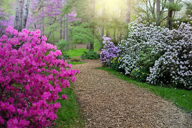 Jardim Colorido de Rododentro