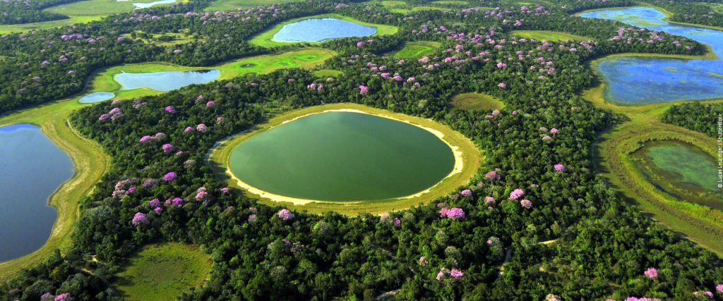 Pantanal Brasileiro