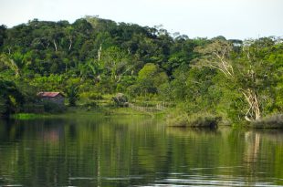 Rio na Amazônia