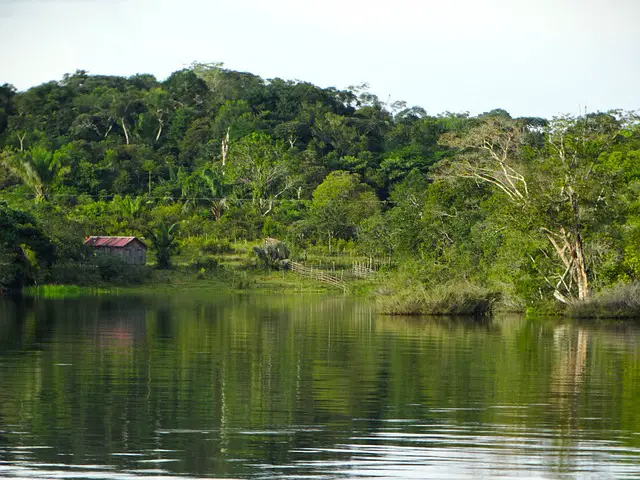 Rio na Amazônia 