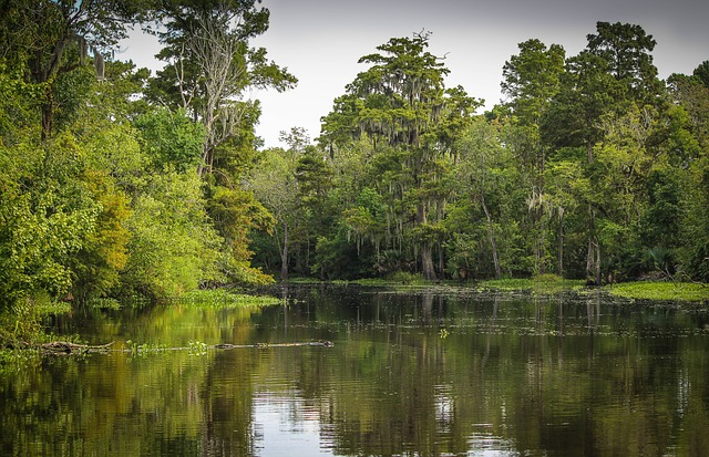 Rio no Pantanal