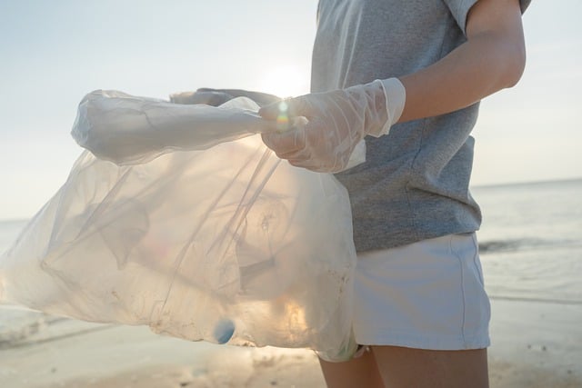 Voluntário Recolhendo Lixo da Praia