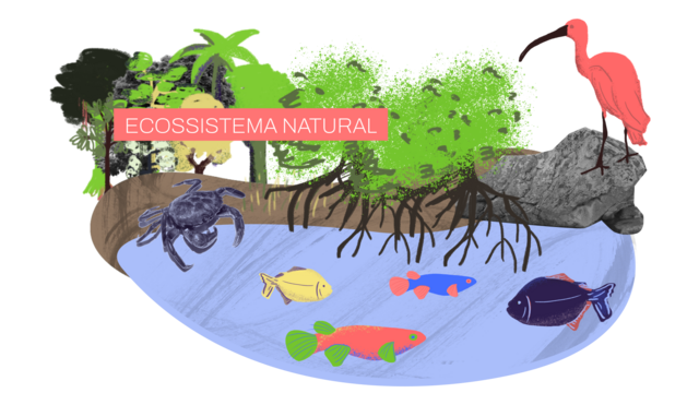 Ecossistema 