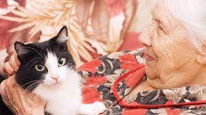 Anciana con gato en su regazo