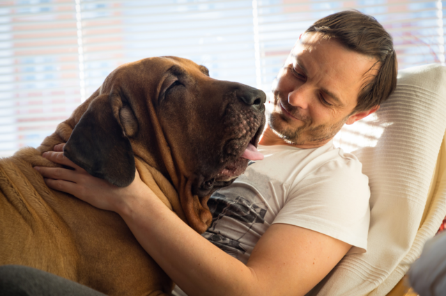 Tutor com Seu Cachorro de Grande Porte