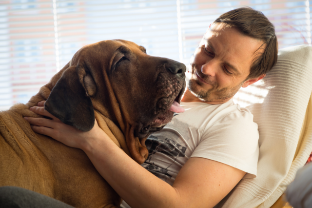 Tutor com Seu Cachorro de Grande Porte 