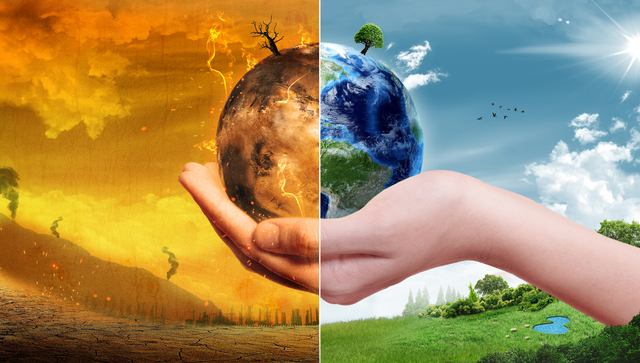 Soluções Locais para o Aquecimento Global