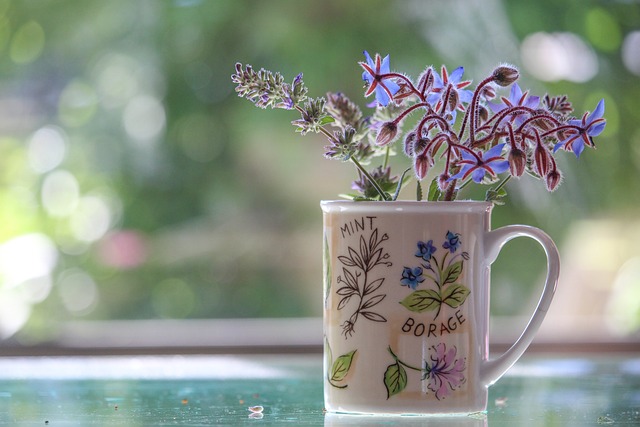 Borragem na Caneca